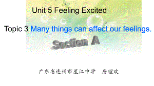 仁愛(ài)英語(yǔ)八年級(jí)下冊(cè)Unit5 Topic 3 Section A