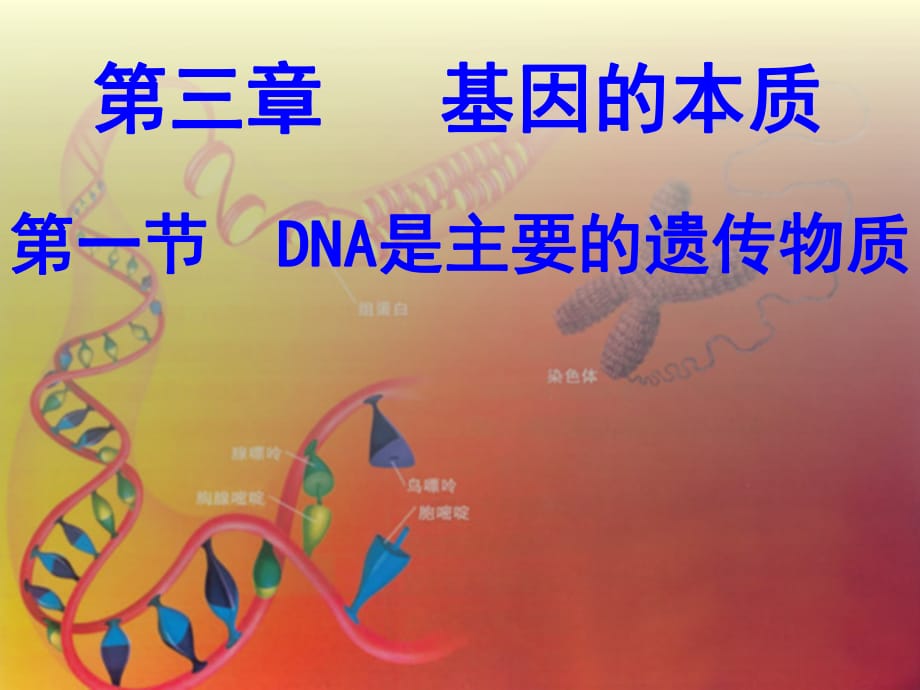 100906高二生物《DNA是主要的遺傳物質(zhì)》(課件)_第1頁