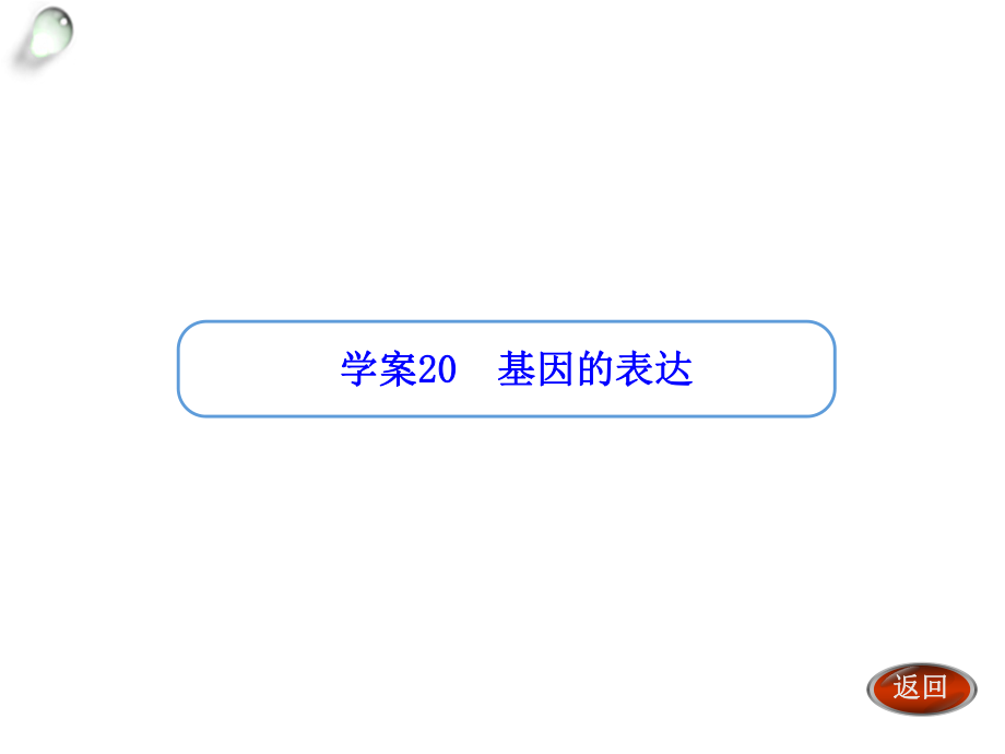 【金版方案】2014高考生物（人教版）一輪復(fù)習(xí)“學(xué)案”課件：第20講基因的表達(dá)（共33張PPT）_第1頁(yè)