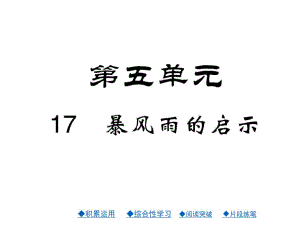 六年級(jí)下冊(cè)語(yǔ)文課件－17課 暴風(fēng)雨的啟示｜西師大版 (共23張PPT)