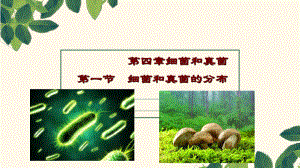 人教初中生物八上《第5單元 第4章 第1節(jié) 細(xì)菌和真菌的分布》PPT課件 3