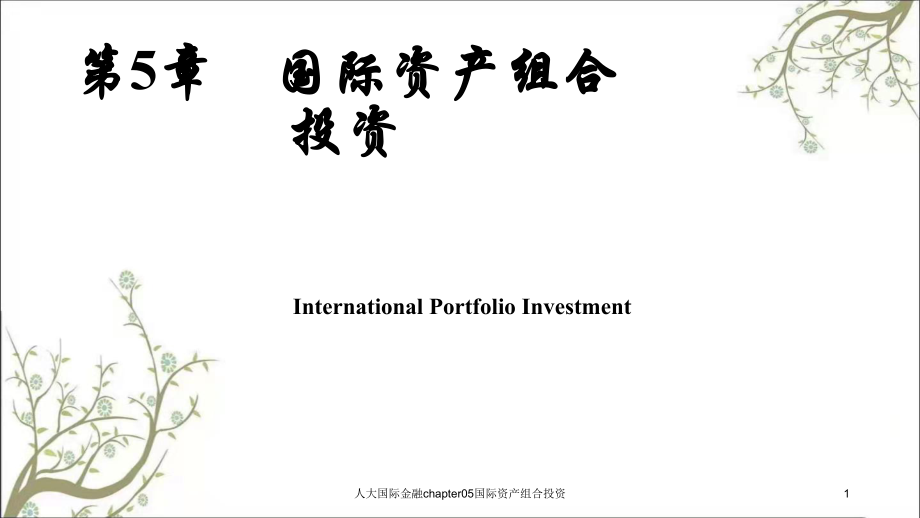 人大国际金融chapter05国际资产组合投资课件_第1页