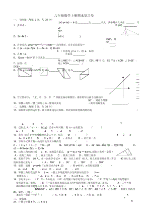 八年级数学上册期末测试卷020