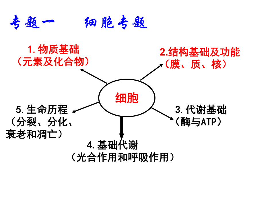 二輪復(fù)習(xí) 必修一專題復(fù)習(xí)_第1頁