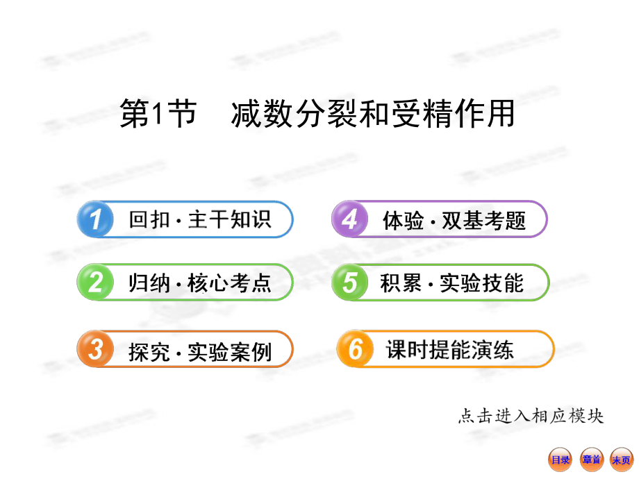 【江蘇專用】2013版高中生物全程復(fù)習(xí)方略（人教版）配套課件：2.2.1減數(shù)分裂和受精作用_第1頁(yè)