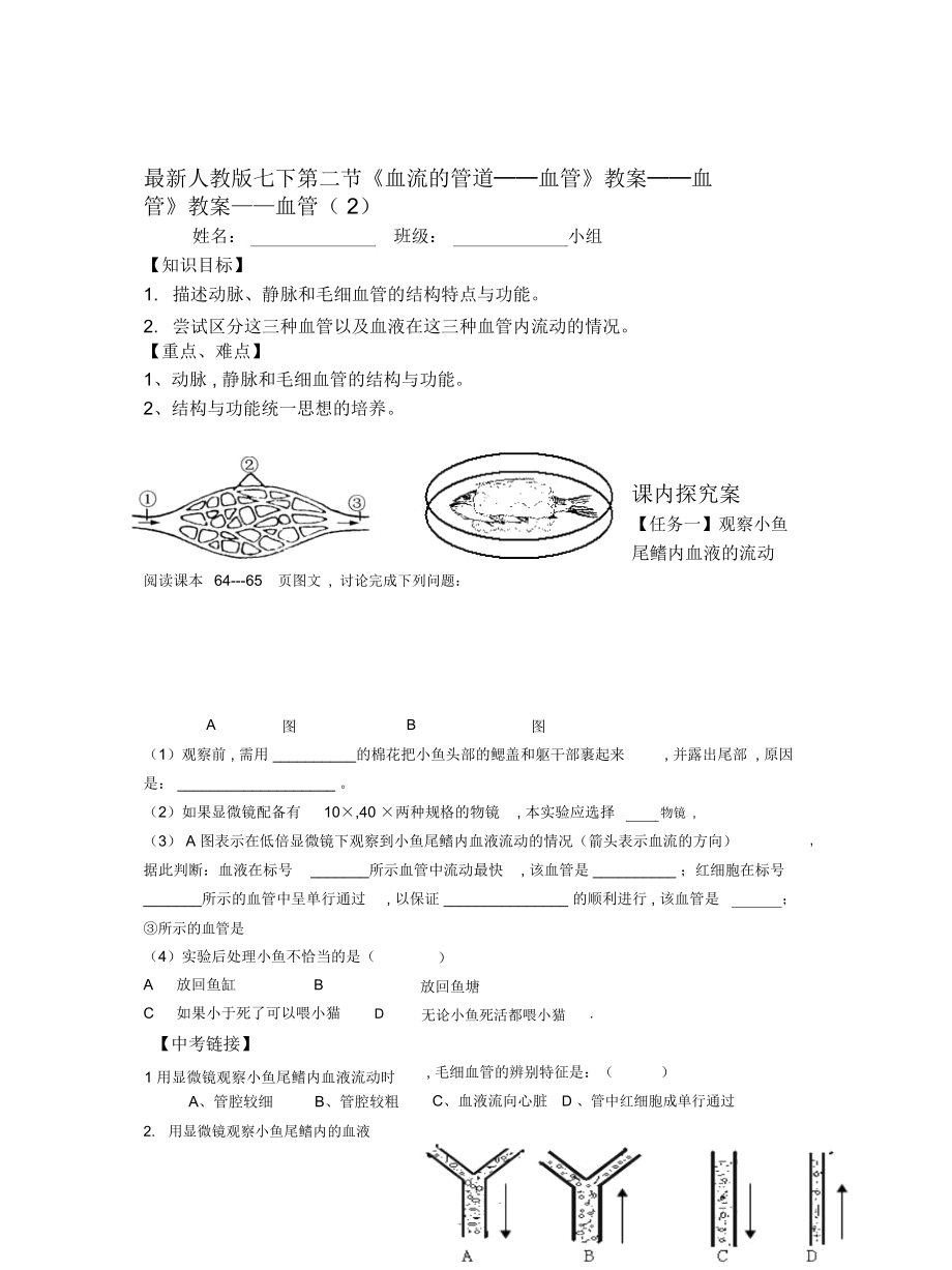 人教版七下第二節(jié)《血流的管道──血管》教案_第1頁