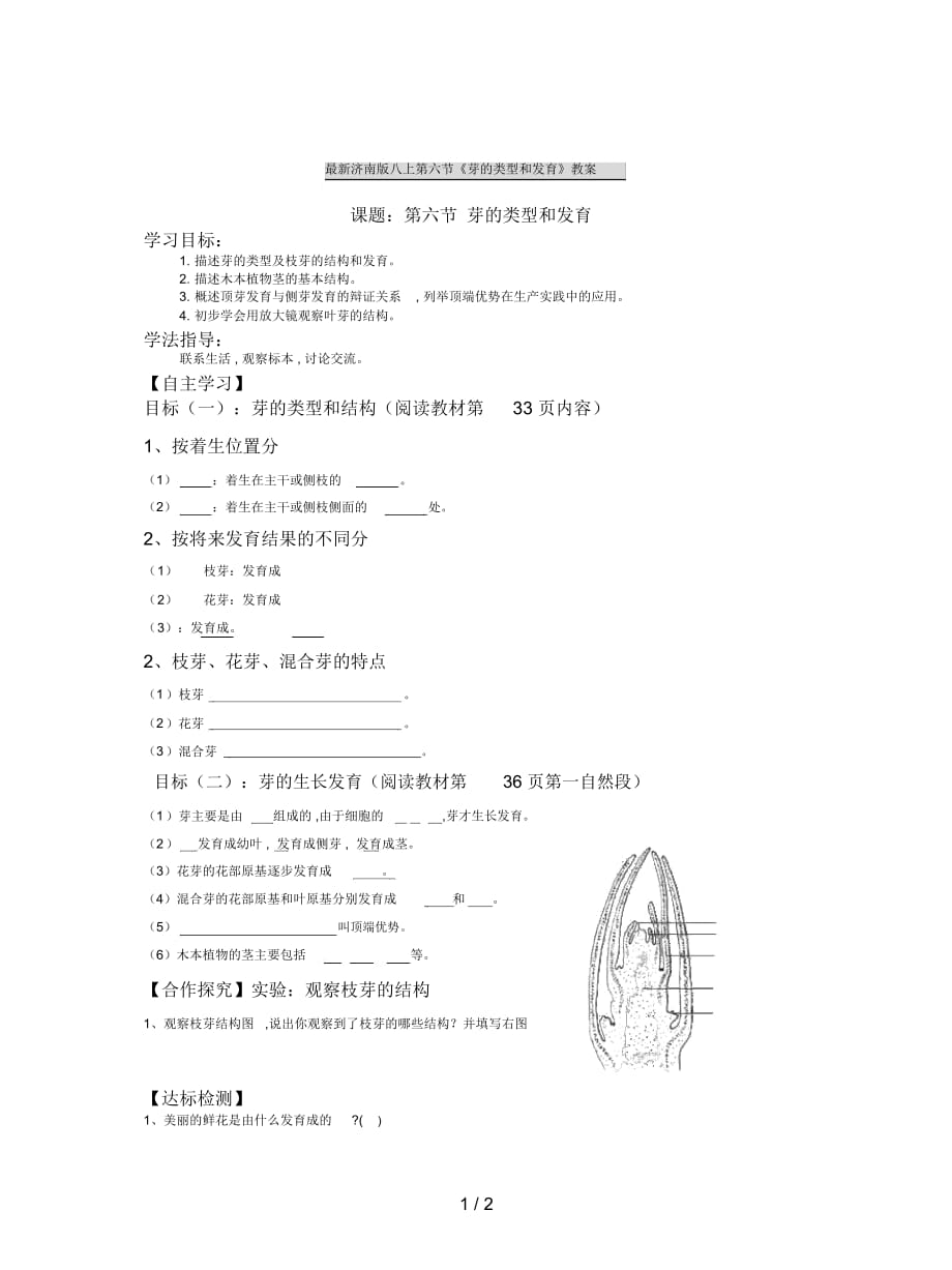 濟南版八上第六節(jié)《芽的類型和發(fā)育》教案_第1頁