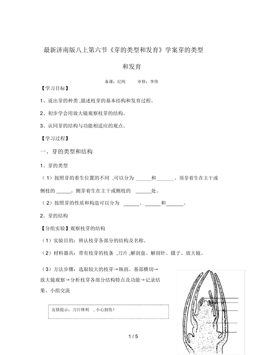 濟南版八上第六節(jié)《芽的類型和發(fā)育》學案_第1頁