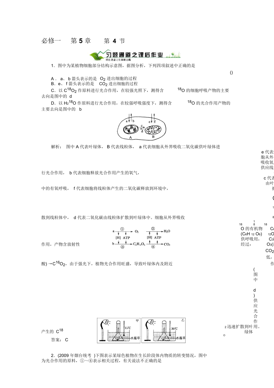 《能量之源──光與光合作用》習(xí)題1_第1頁