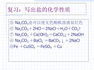 人教版初中化學(xué)九年級上冊11.1 鹽、化肥第3課時 復(fù)分解反應(yīng)