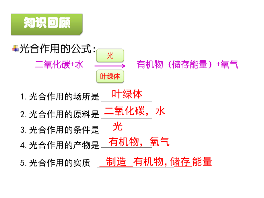 第2節(jié)《綠色植物的呼吸作用》_第1頁(yè)