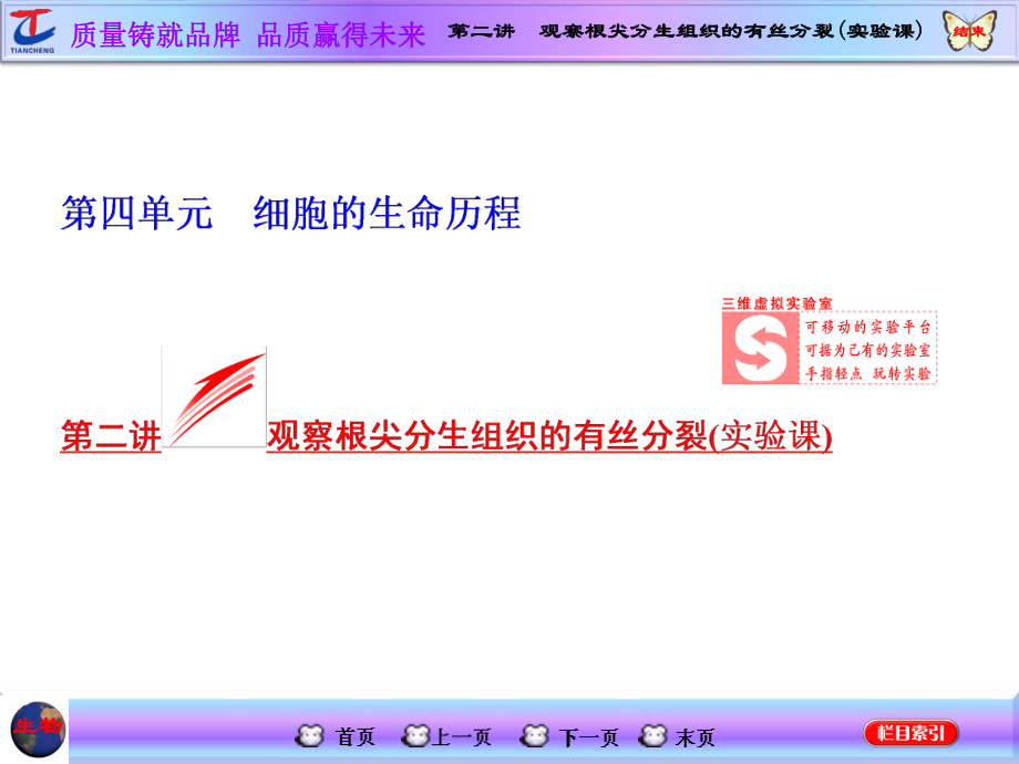 第二講觀察根尖分生組織的有絲分裂_第1頁