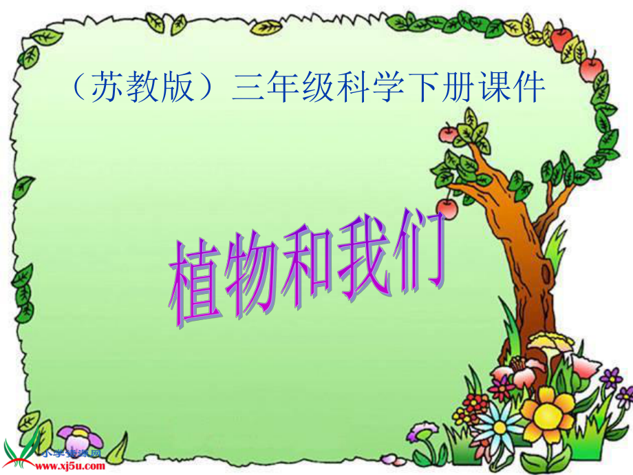 蘇教版小學(xué)科學(xué)三年級下冊《植物和我們》課件_第1頁