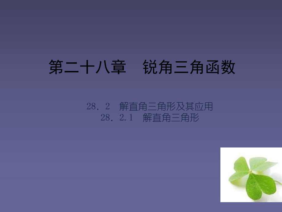 【四清導(dǎo)航】2015春九年級數(shù)學(xué)下冊2821解直角三角形課件（新版）新人教版_第1頁