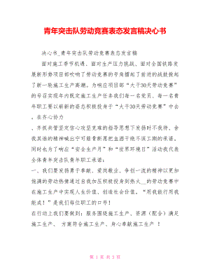 青年突擊隊勞動競賽表態(tài)發(fā)言稿決心書