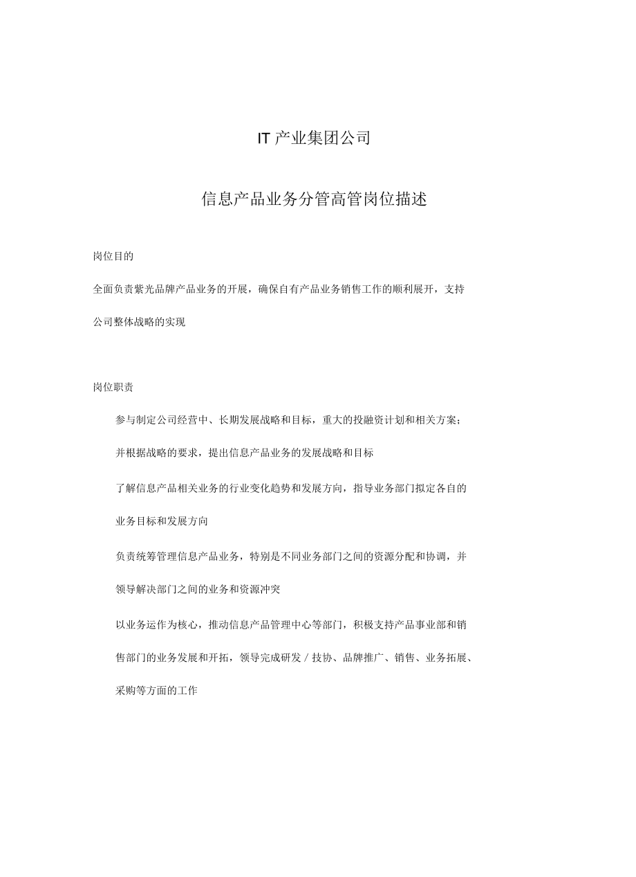 it产业集团公司信息产品业务分管高管岗位描述_第1页