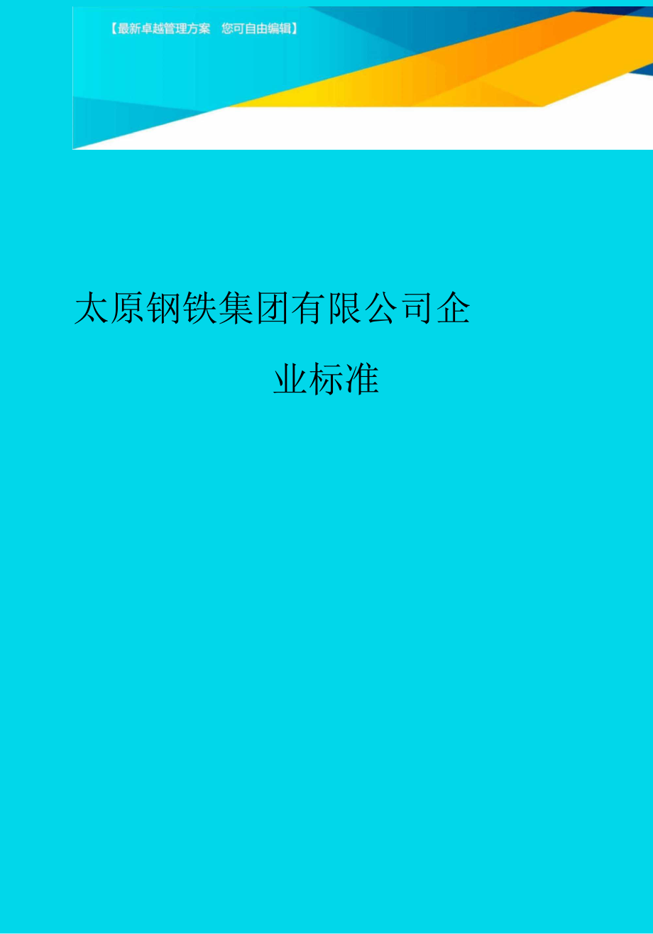 太原鋼鐵集團有限公司企業(yè)標準_第1頁