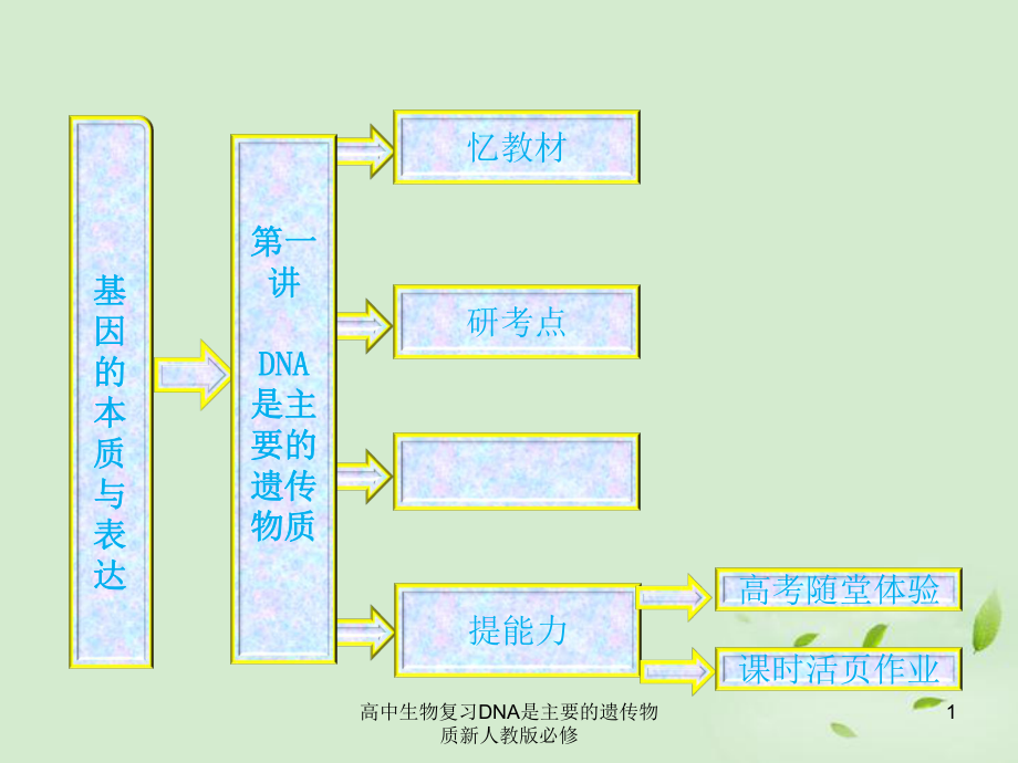 高中生物復習DNA是主要的遺傳物質新人教版必修課件_第1頁