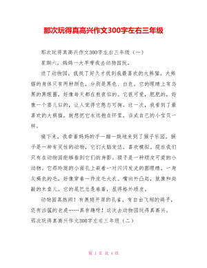 那次玩得真高興作文300字左右三年級