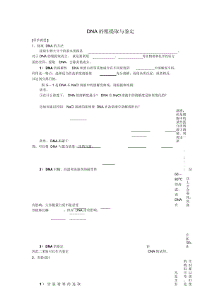 高中生物《DNA的粗提取與鑒定》學案1新人教版選修
