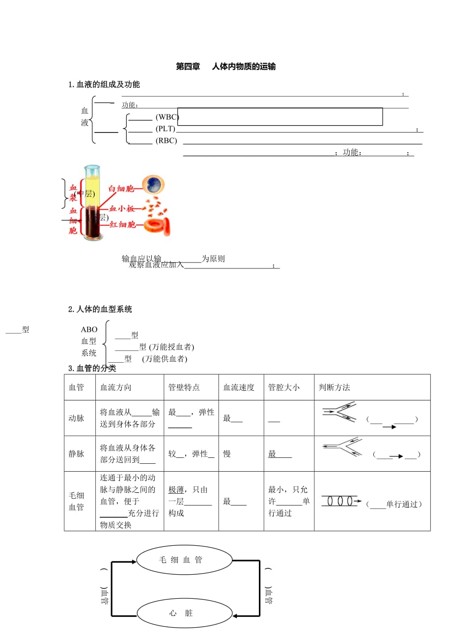 《第四章人體內物質的運輸》知識點總結_第1頁