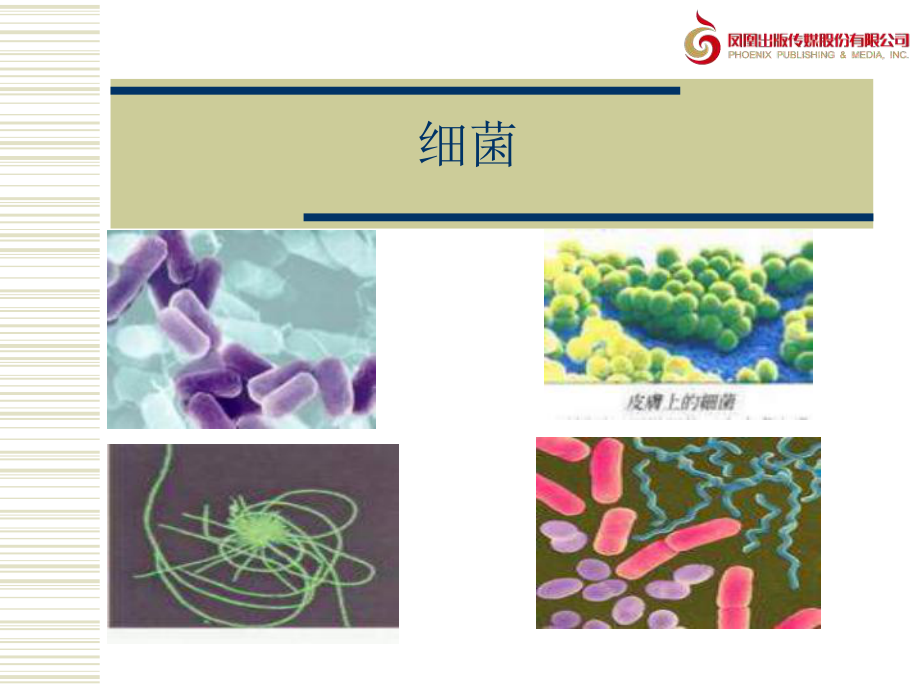 《水滴里的生物》教學(xué)課件1_第1頁