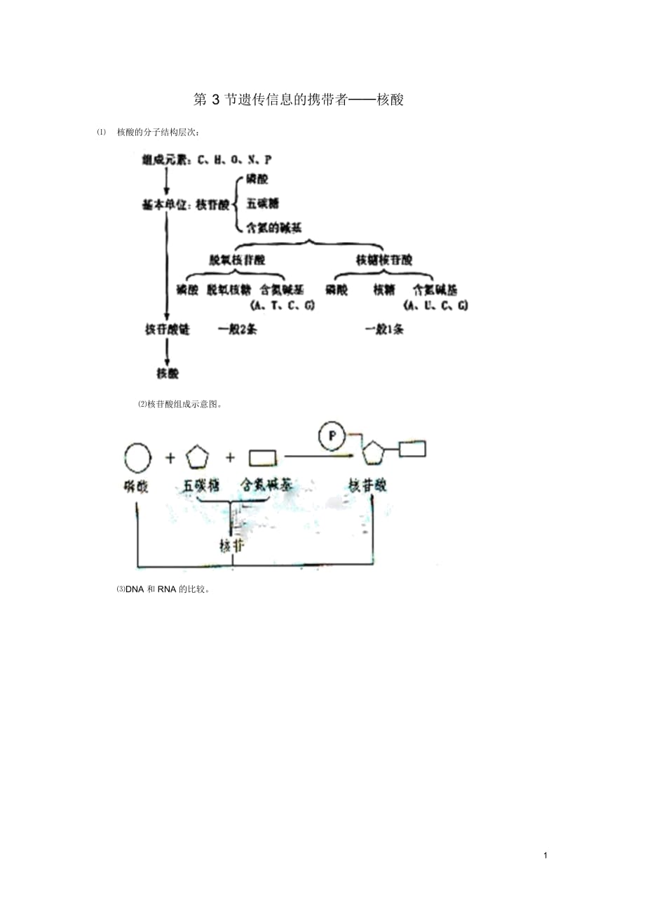 高中生物《遗传信息的携带者--核酸》图片素材2新人教版必修_第1页