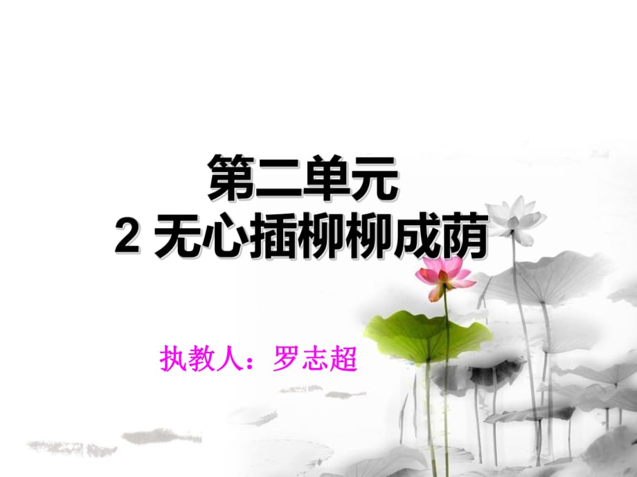 《无心插柳柳成荫》件_第1页