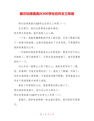 那次玩得真高興300字左右作文三年級