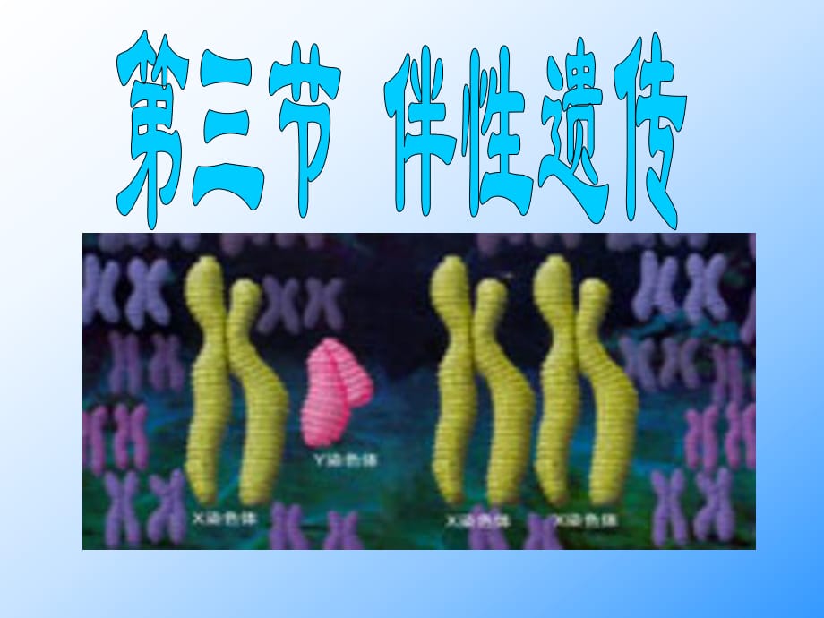 高一生物必修2 伴性遺傳 ppt_第1頁(yè)