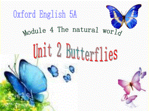 5a Butterflies