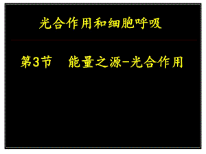 生物必修一蘇教版 第四節(jié) 細胞呼吸(共47張PPT)