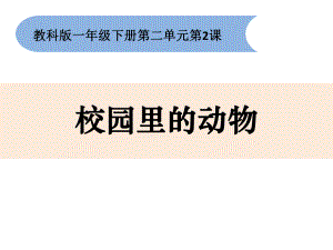 一年級下冊科學(xué)課件-22《校園里的動物》-教科版(共13張PPT)