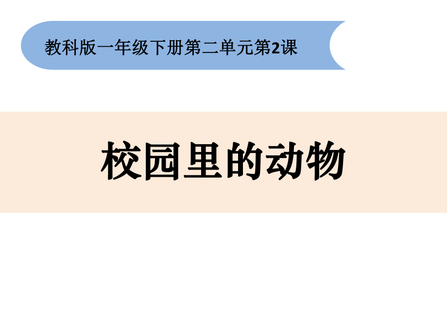 一年級下冊科學(xué)課件-22《校園里的動物》-教科版(共13張PPT)_第1頁