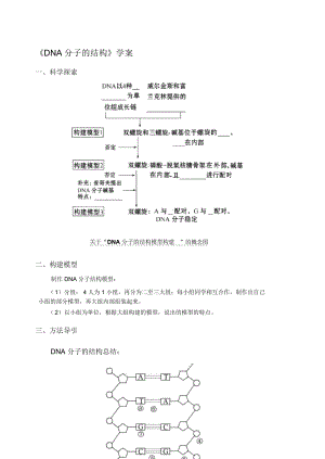 《DNA分子的結(jié)構(gòu)》學(xué)案