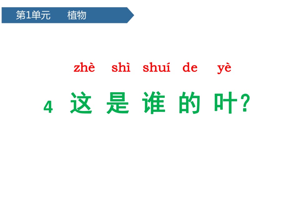 一年级上册科学课件 --第一单元4这是谁的叶 教科版_第1页