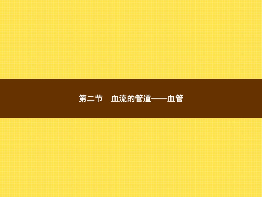 人教版中考復習課件 第四單元　生物圈中的人第四章　人體內物質的運輸?shù)诙?jié)　血流的管道——血管_第1頁