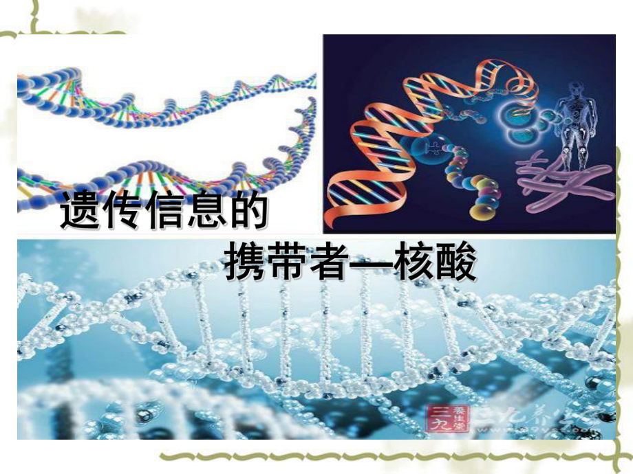 人教版高一生物必修一：2.3《遗传信息的携带者——核酸》 课件(共29.ppt)_第1页