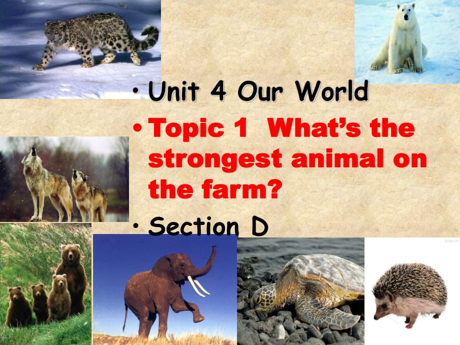 仁爱版八年级英语上册 Unit 4 Topic 1 Section D 课件(共19张PPT)_第1页