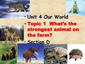 仁愛版八年級英語上冊 Unit 4 Topic 1 Section D 課件(共19張PPT)