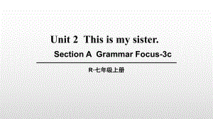 第2課時(shí)（SectionAGrammarFocus-3c）-副本