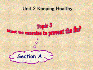 仁愛(ài)版八年級(jí)英語(yǔ)上冊(cè) Unit 2 Topic 3 Section A 課件(共24張PPT)