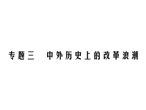 2019中考?xì)v史復(fù)習(xí)精煉課件：第二部分 專題能力提升 專題三 中外歷史上的改革浪潮(共24張PPT)