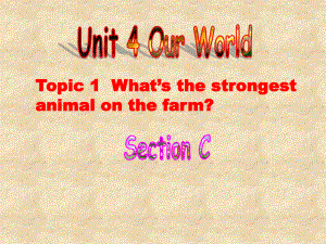 仁愛版八年級英語上冊 Unit 4 Topic 1 Section C 課件(共26張PPT)