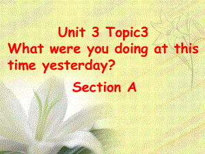 仁愛版八年級英語上冊 Unit 3 Topic 3 Section A 課件(共28張PPT)