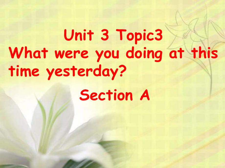 仁愛版八年級英語上冊 Unit 3 Topic 3 Section A 課件(共28張PPT)_第1頁