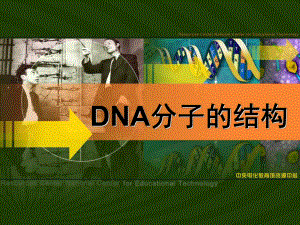 生物-《DNA分子的結(jié)構(gòu)》（人教版必修2）