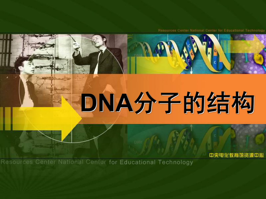 生物-《DNA分子的结构》（人教版必修2）_第1页