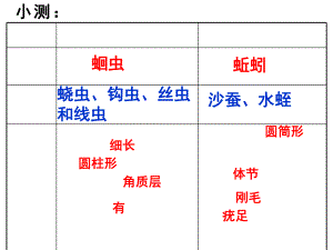 人教版 八年級(jí)生物第三節(jié)軟體動(dòng)物和節(jié)肢動(dòng)物 (共32張PPT)