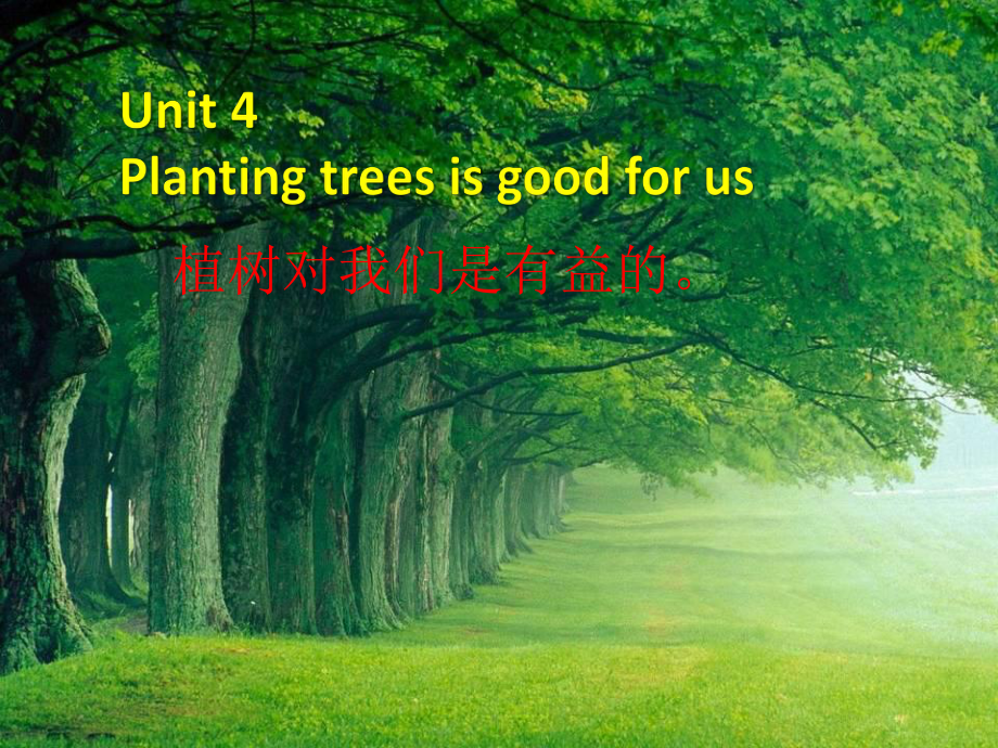 六年级下册英语课件-Unit 4Planting trees is good for us6_湘少版_第1页